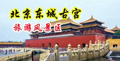 正面偷拍厕所浓毛逼逼逼中国北京-东城古宫旅游风景区